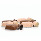 Laerdal Little Anne Stapelbaar 6-pack - Stapelbare Reanimatiepoppen